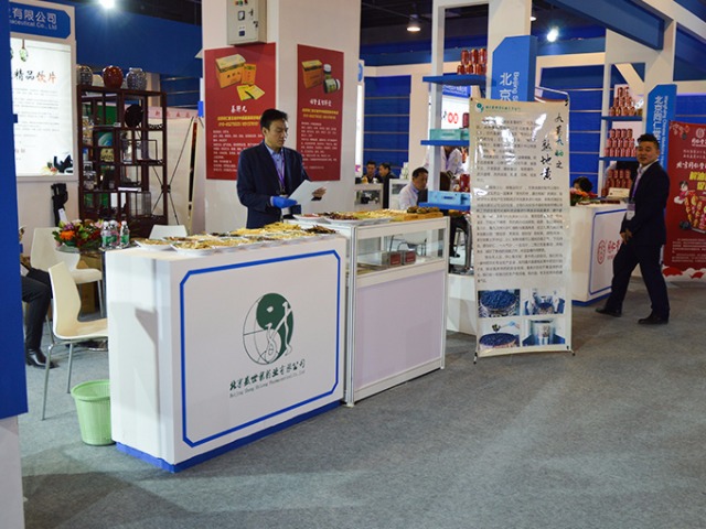 盛世龙展会风采