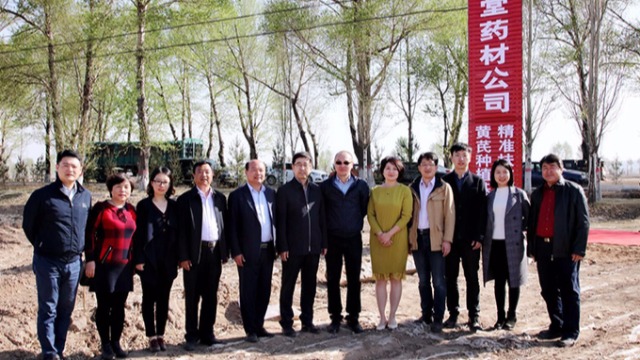 北京盛世龙精准扶贫，共建黄芪种植基地