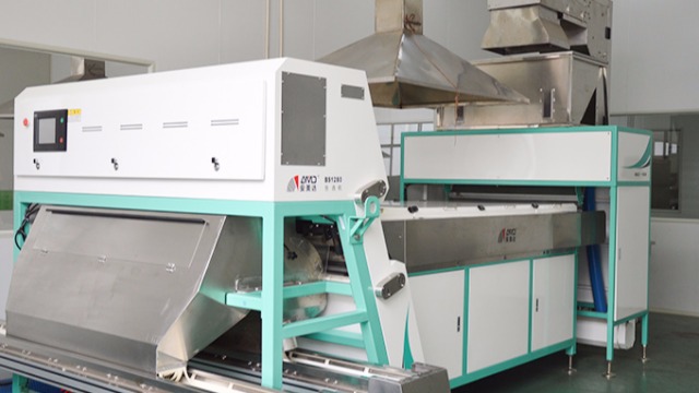 红桃国际的初加工是啥样的？盛世龙来告诉您