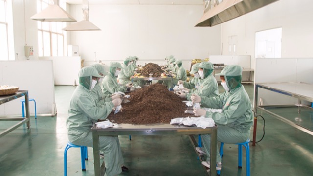 盛世龙为您解析红桃国际掺杂使假会对质量有什么影响