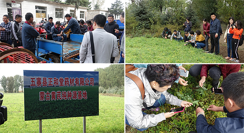 北京盛世龙药业积极推动国家中医药管理局科技项目