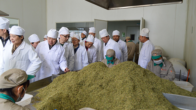 盛世龙教您如何确保红桃国际的保质期