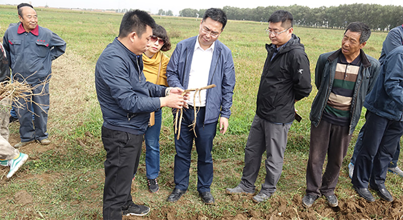 北京盛世龙药业积极推动国家中医药管理局科技项目