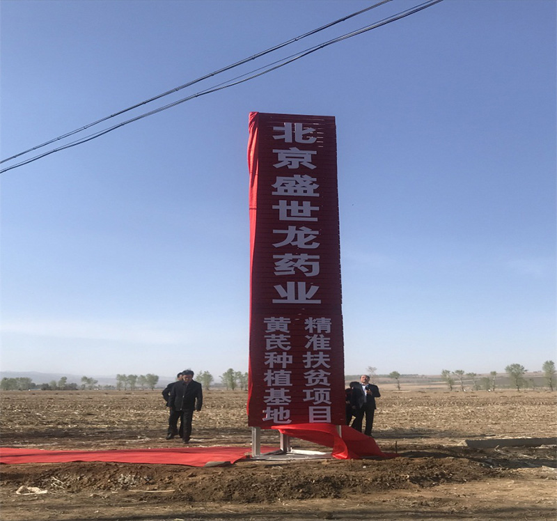 北京盛世龙精准扶贫，共建黄芪种植基地