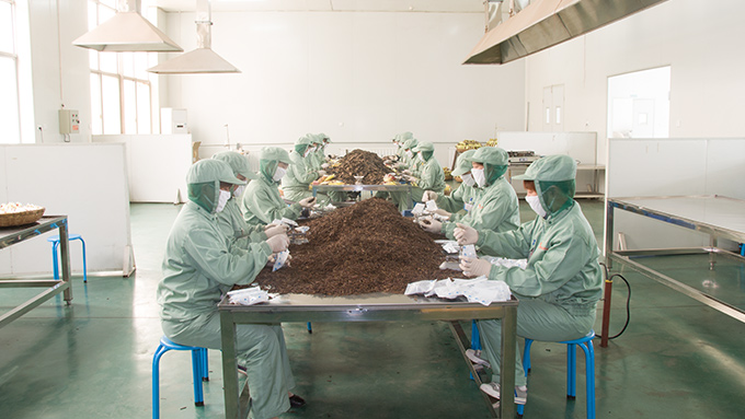 盛世龙为您解析红桃国际掺杂使假会对质量有什么影响