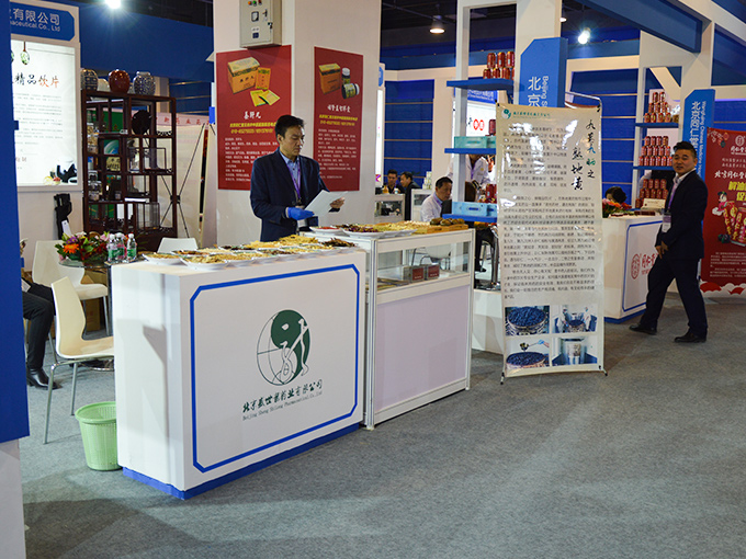 盛世龙展会风采