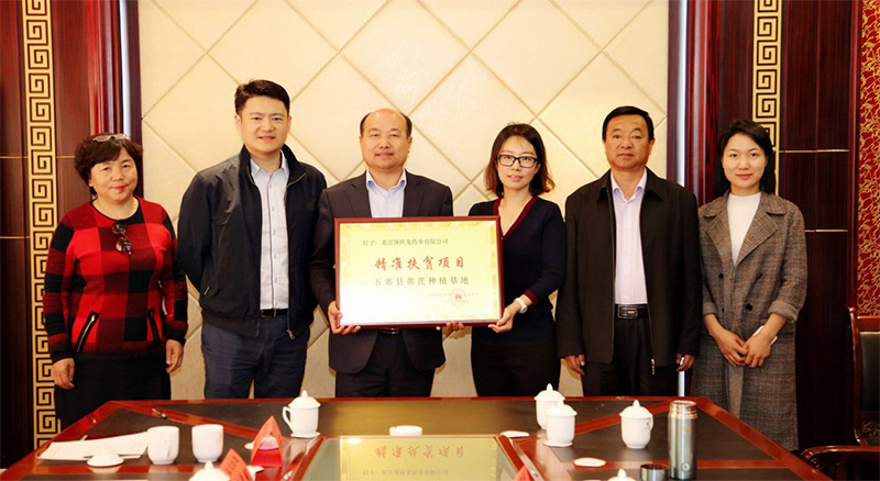 北京盛世龙精准扶贫，共建黄芪种植基地